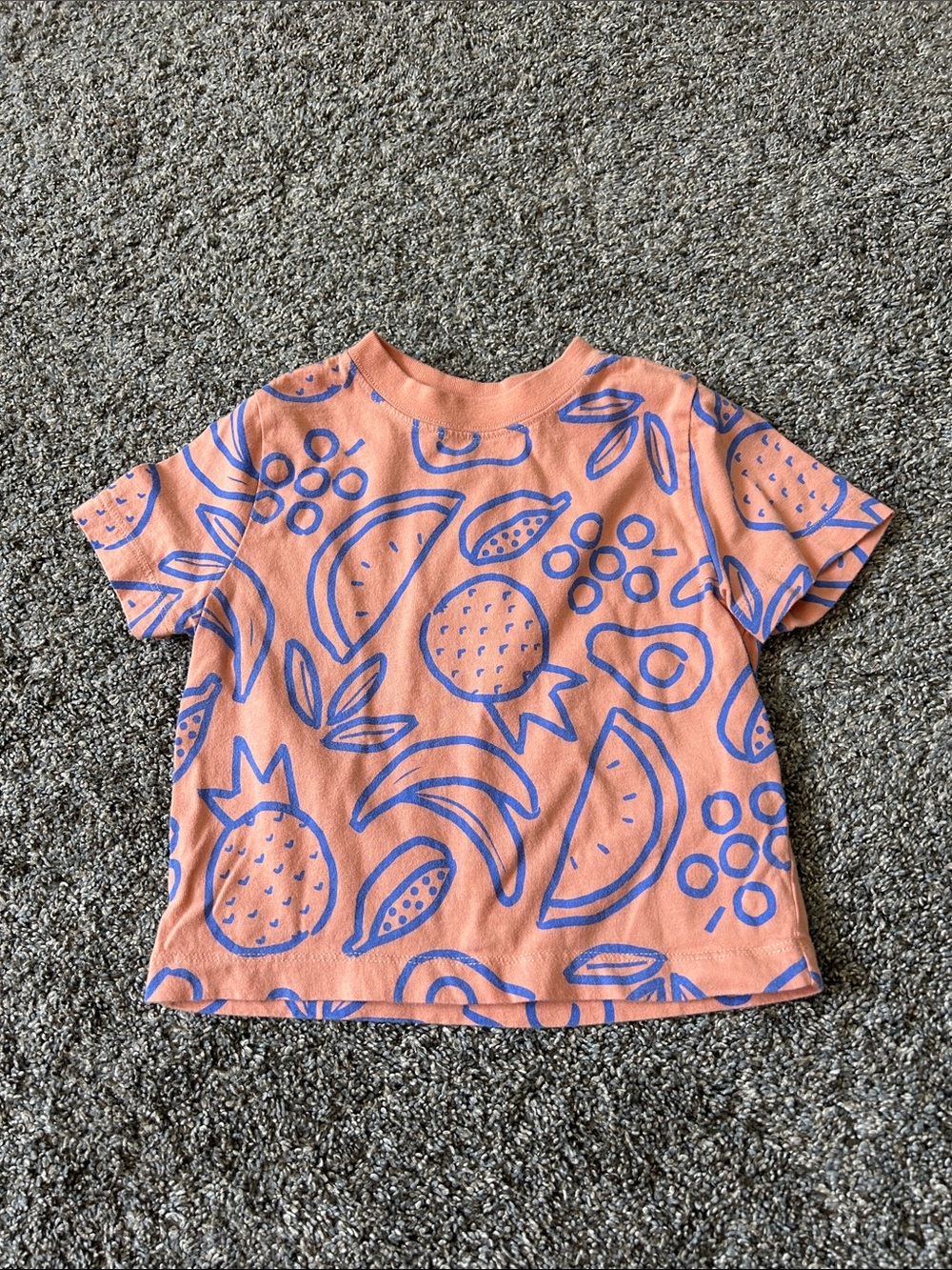 Hanna Andersson Tee with Blue Fruit Motif